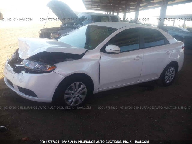 f59d681f-5c83-41b9-8387-503fb2444921