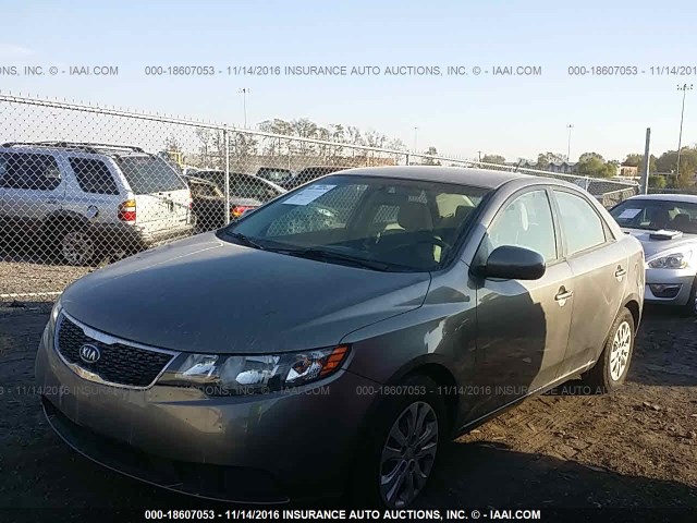 WhatsApp Image 2017-03-21 at 2.16.57 PM