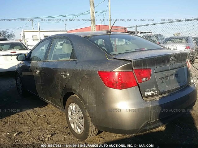 WhatsApp Image 2017-03-21 at 2.16.59 PM