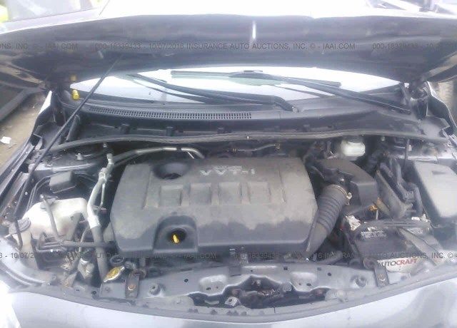 838281206-10L