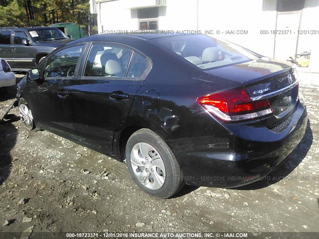 sentra10piwi (5)