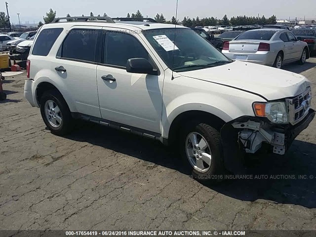 Ford Escape XLT 2010