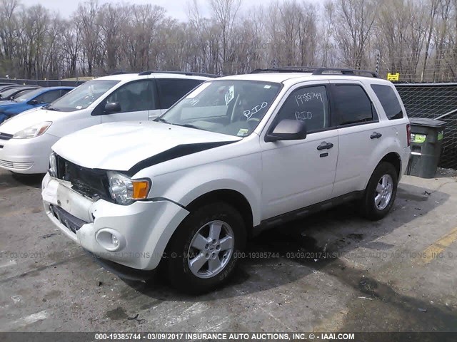 WhatsApp Image 2017-06-08 at 10.33.40 AM