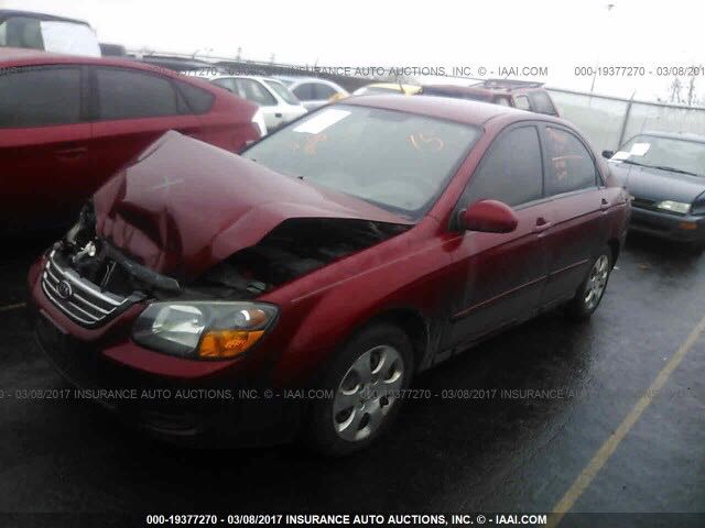 WhatsApp Image 2017-06-28 at 2.23.35 PM