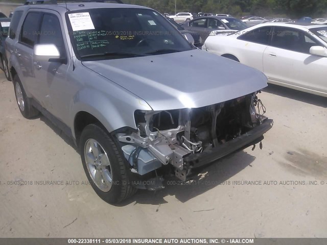 WhatsApp Image 2018-06-12 at 9.27.30 PM