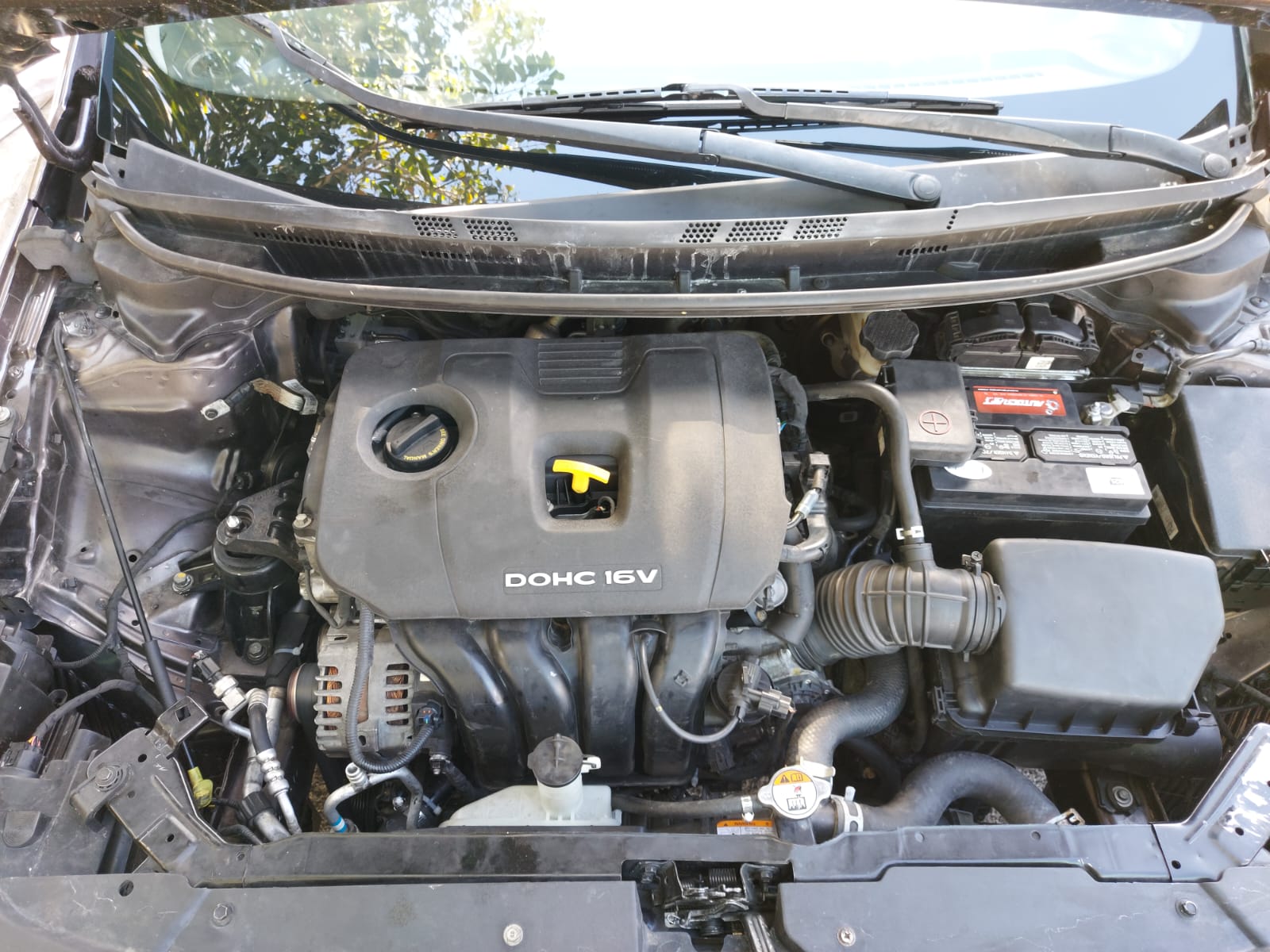 17d84369-bfcb-4fc2-8523-b08a06e3bd4f